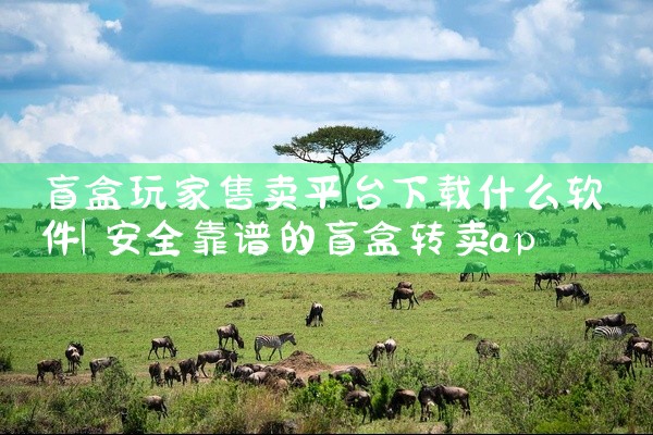 盲盒玩家售卖平台下载什么软件