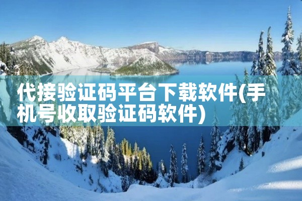 代接验证码平台下载软件