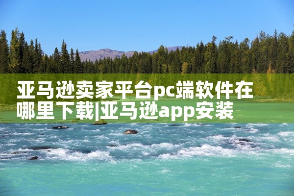 亚马逊卖家平台pc端软件在哪里下载
