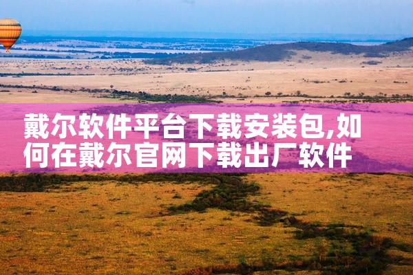戴尔软件平台下载安装包