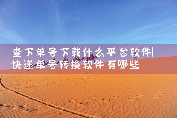 查下单号下载什么平台软件