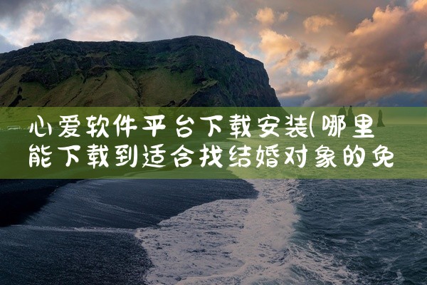 心爱软件平台下载安装