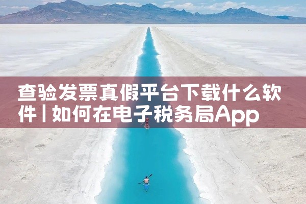 查验发票真假平台下载什么软件